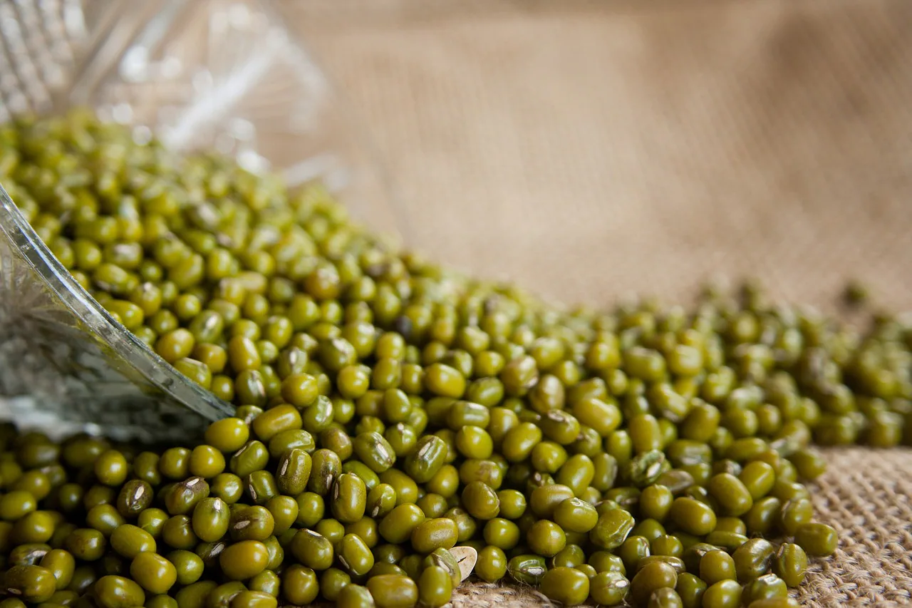 Cleaned green mung beans